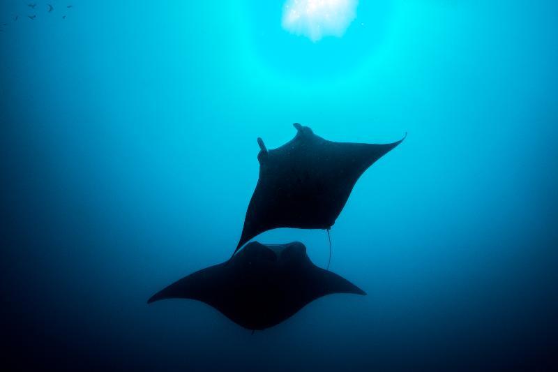 You And Me By Cocoon Maldives Muravandhoo Exteriér fotografie